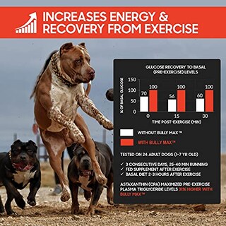 Foto 7 | Suplemento Líquido Bully Max Para La Construcción Muscular 3 En 1 Para Perros - Venta Internacional.