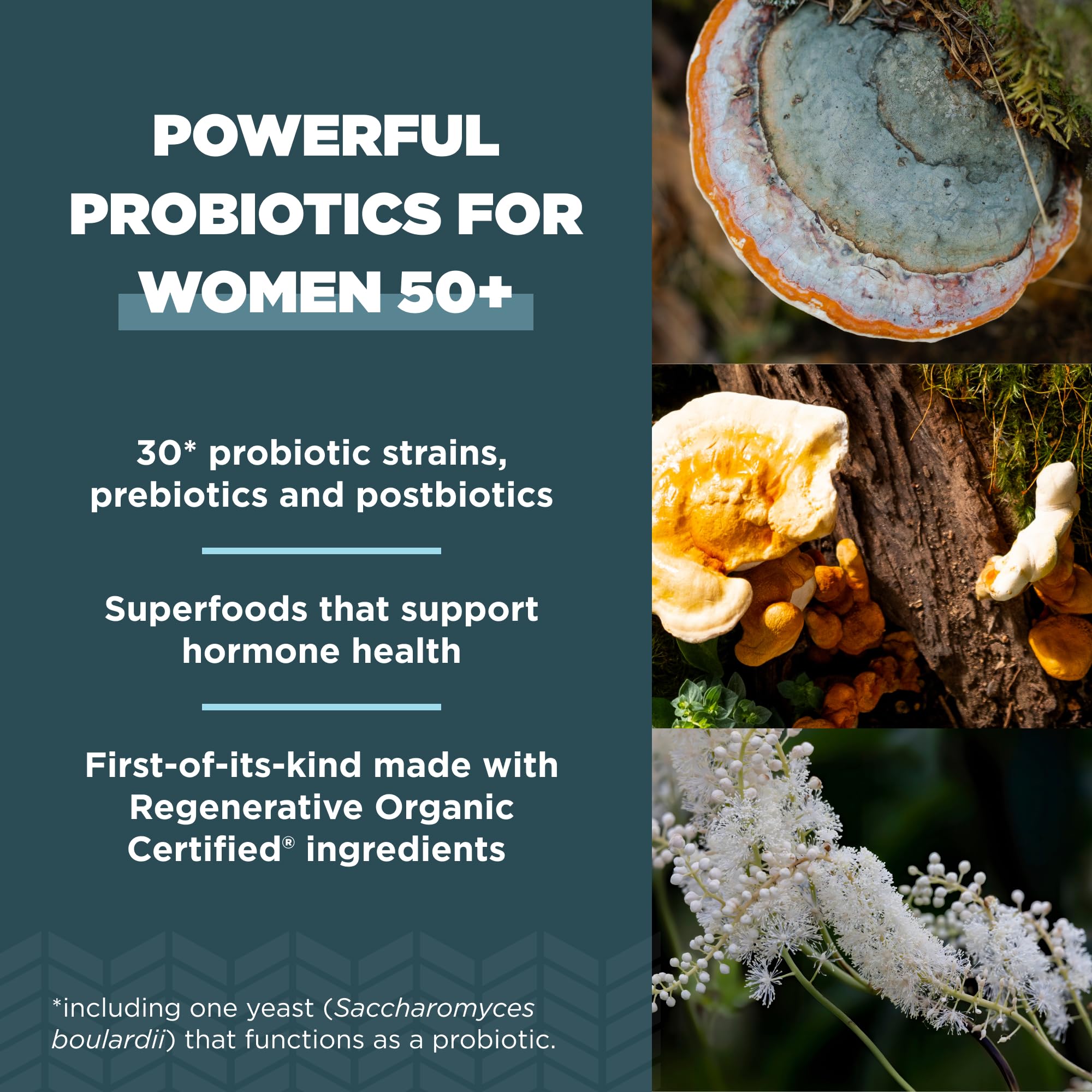 Foto 5 pulgar | Suplemento De Probióticos Ancient Nutrition Para Mujeres De 50 O Más De 30 Unidades - Venta Internacional.