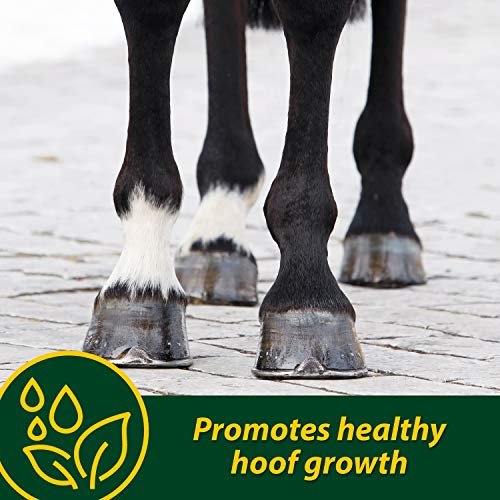 Foto 2 | Hoof Supplements Farnam Horseshoer's Secret, 5 Kg, Suministro Para 30 Días - Venta Internacional.