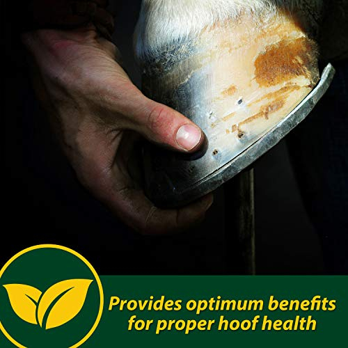 Foto 4 pulgar | Hoof Supplements Farnam Horseshoer's Secret, 5 Kg, Suministro Para 30 Días - Venta Internacional.