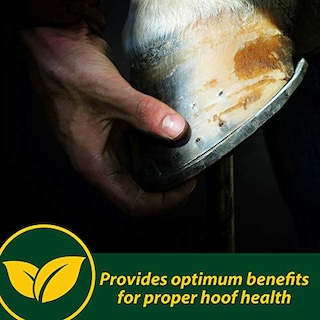 Foto 3 | Hoof Supplements Farnam Horseshoer's Secret, 5 Kg, Suministro Para 30 Días - Venta Internacional.