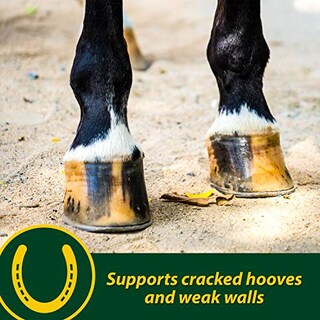 Foto 4 | Hoof Supplements Farnam Horseshoer's Secret, 5 Kg, Suministro Para 30 Días - Venta Internacional.