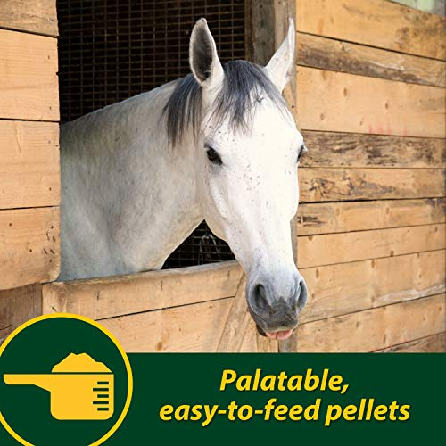 Foto 7 pulgar | Hoof Supplements Farnam Horseshoer's Secret, 5 Kg, Suministro Para 30 Días - Venta Internacional.