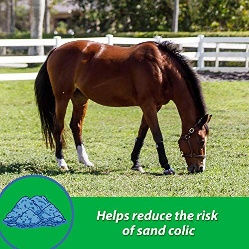 Foto 3 pulgar | Suplemento Farnam Sand Clear Para Caballos Psyllium 1,36 Kg - Venta Internacional.