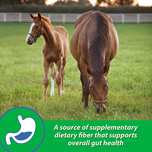 Foto 4 pulgar | Suplemento Farnam Sand Clear Para Caballos Psyllium 1,36 Kg - Venta Internacional.