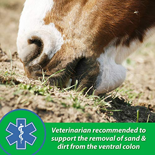 Foto 5 pulgar | Suplemento Farnam Sand Clear Para Caballos Psyllium 1,36 Kg - Venta Internacional.
