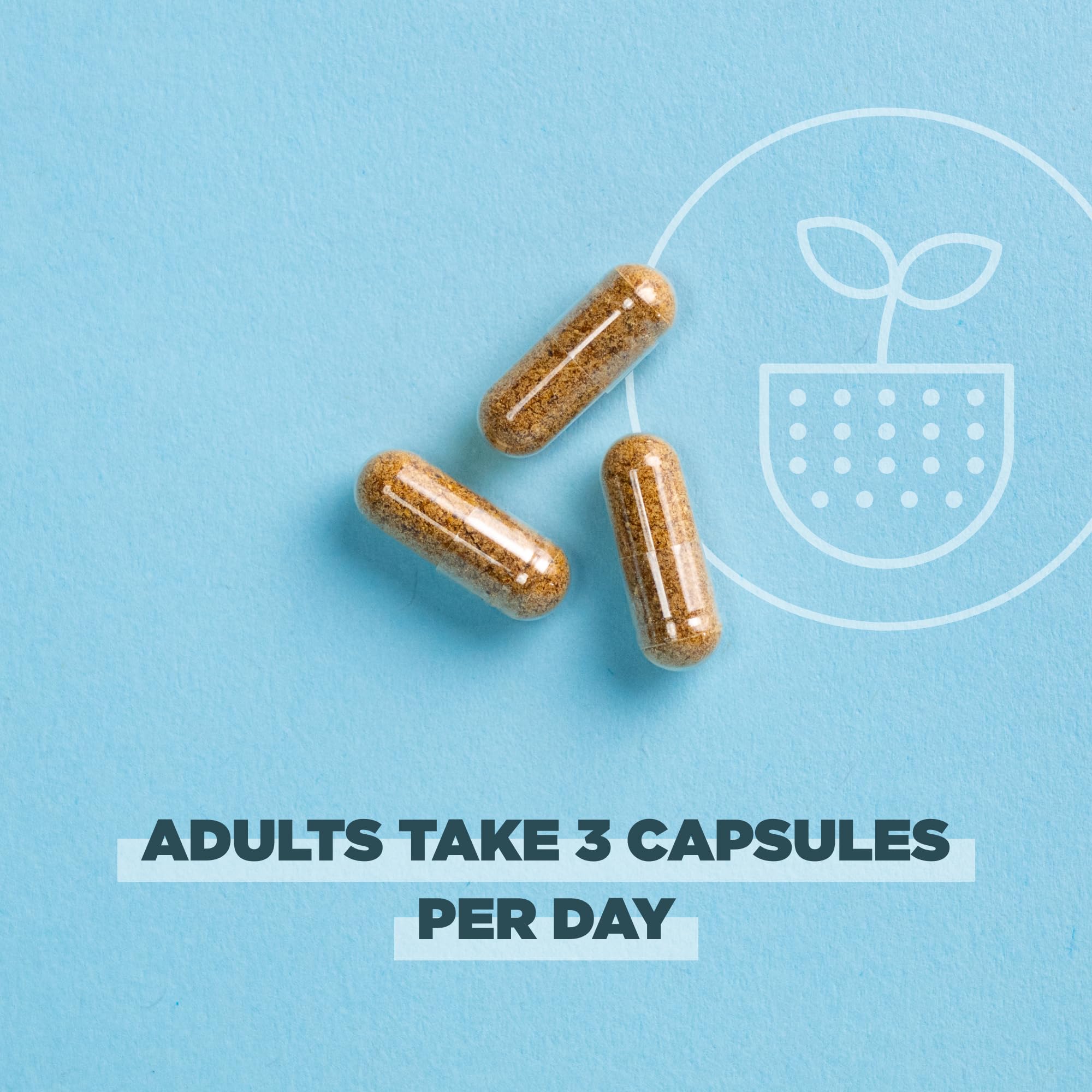 Foto 5 | Cápsulas De Cúrcuma Supplement Ancient Nutrition - Venta Internacional.