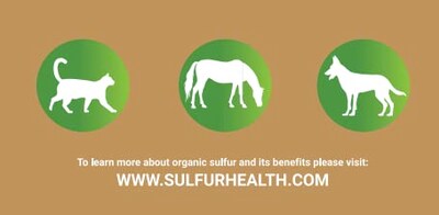 Foto 5 | Suplemento Sulfur Health Pet Msm 99.9% Orgánico Puro, 30 Ml - Venta Internacional.