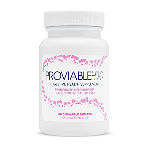 Foto 2 pulgar | Suplemento Nutramax Proviable Digestive Health Para Perros 60 G - Venta Internacional.