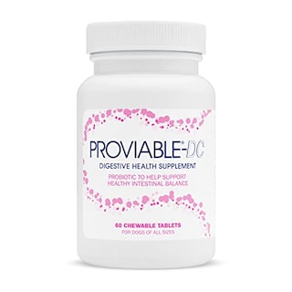 Foto 1 | Suplemento Nutramax Proviable Digestive Health Para Perros 60 G - Venta Internacional.