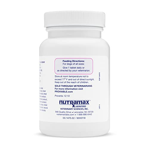 Foto 3 pulgar | Suplemento Nutramax Proviable Digestive Health Para Perros 60 G - Venta Internacional.