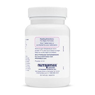 Foto 2 | Suplemento Nutramax Proviable Digestive Health Para Perros 60 G - Venta Internacional.