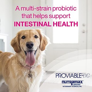 Foto 3 | Suplemento Nutramax Proviable Digestive Health Para Perros 60 G - Venta Internacional.
