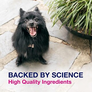 Foto 5 | Suplemento Nutramax Proviable Digestive Health Para Perros 60 G - Venta Internacional.