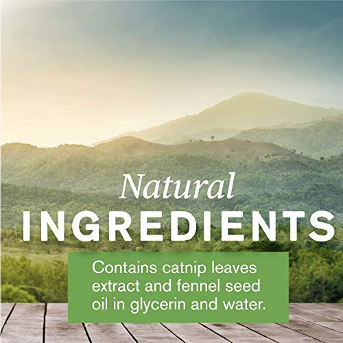 Foto 6 | Suplemento Nature's Sunshine De Hierba Gatera E Hinojo, 60 Ml - Venta Internacional.