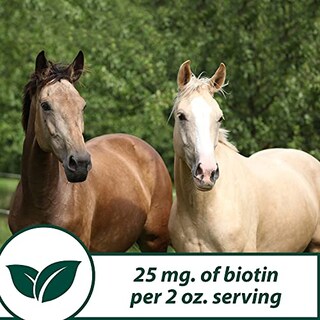 Foto 7 | Suplemento Para Pezuñas Farnam Horseshoer's Secret Granulado, 5,5 Kg - Venta Internacional.