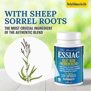 Foto 4 | Suplemento Essiac Tea, Cápsulas Blandas, 711 Mg, 120 Cápsulas Blandas - Venta Internacional.