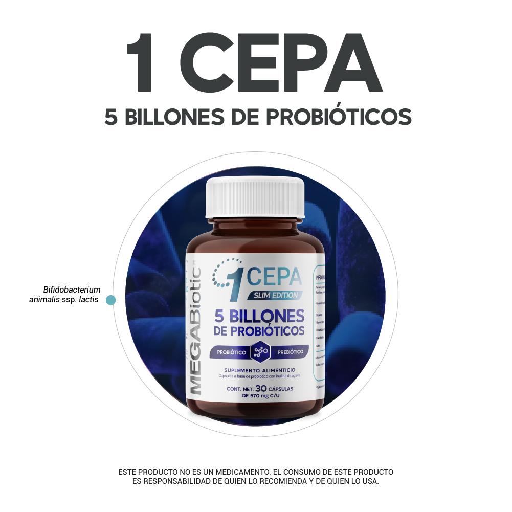 Foto 4 pulgar | Probióticos Slim Edition B. Animalis Megabiotic 30 Caps