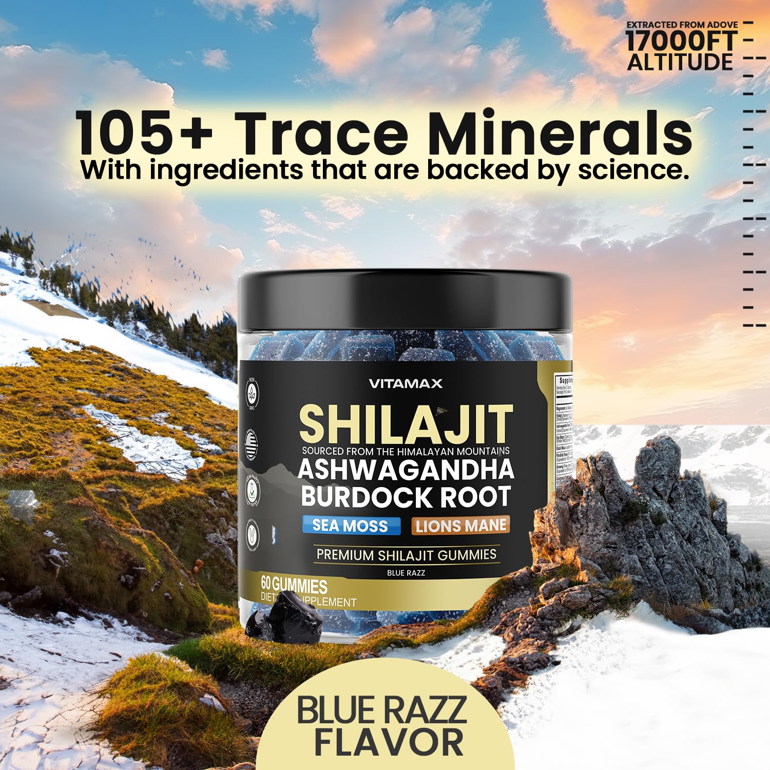 Foto 5 | Suplemento Vitamax, Gomitas Orgánicas De Shilajit, 1500 Mg, 60 Unidades - Venta Internacional.