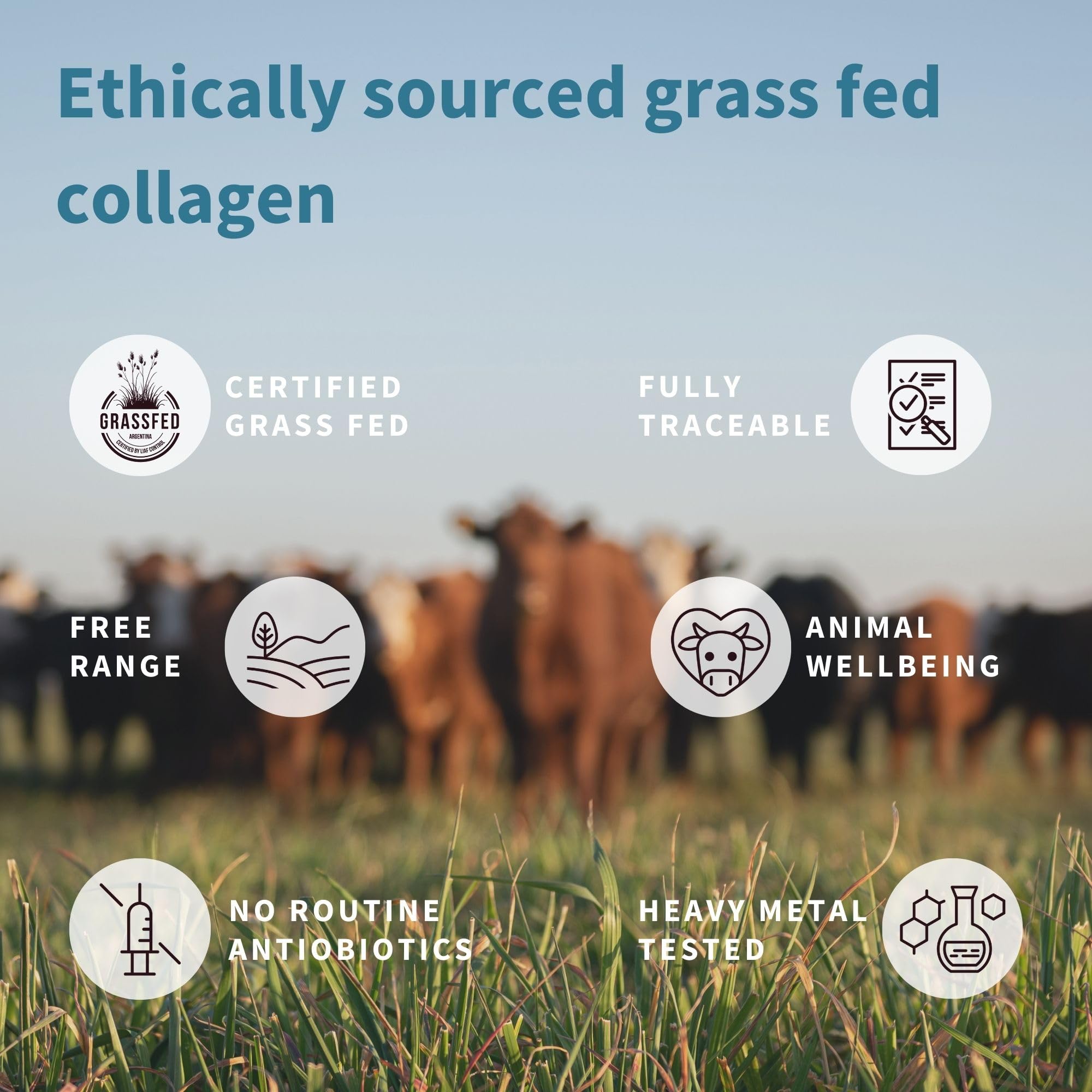 Foto 3 | Proteína De Colágeno En Polvo Igennus 100% Alimentada Con Pasto, 40 Porciones - Venta Internacional.