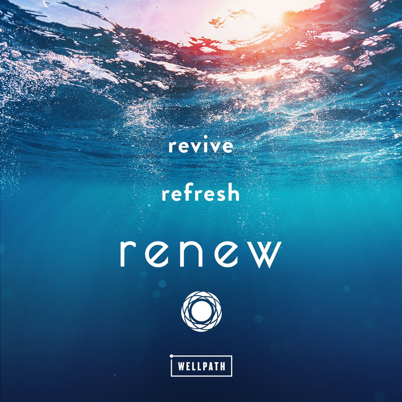 Foto 7 pulgar | Proteína De Colágeno En Polvo Wellpath Renew Para Mujer 325 Ml - Venta Internacional.