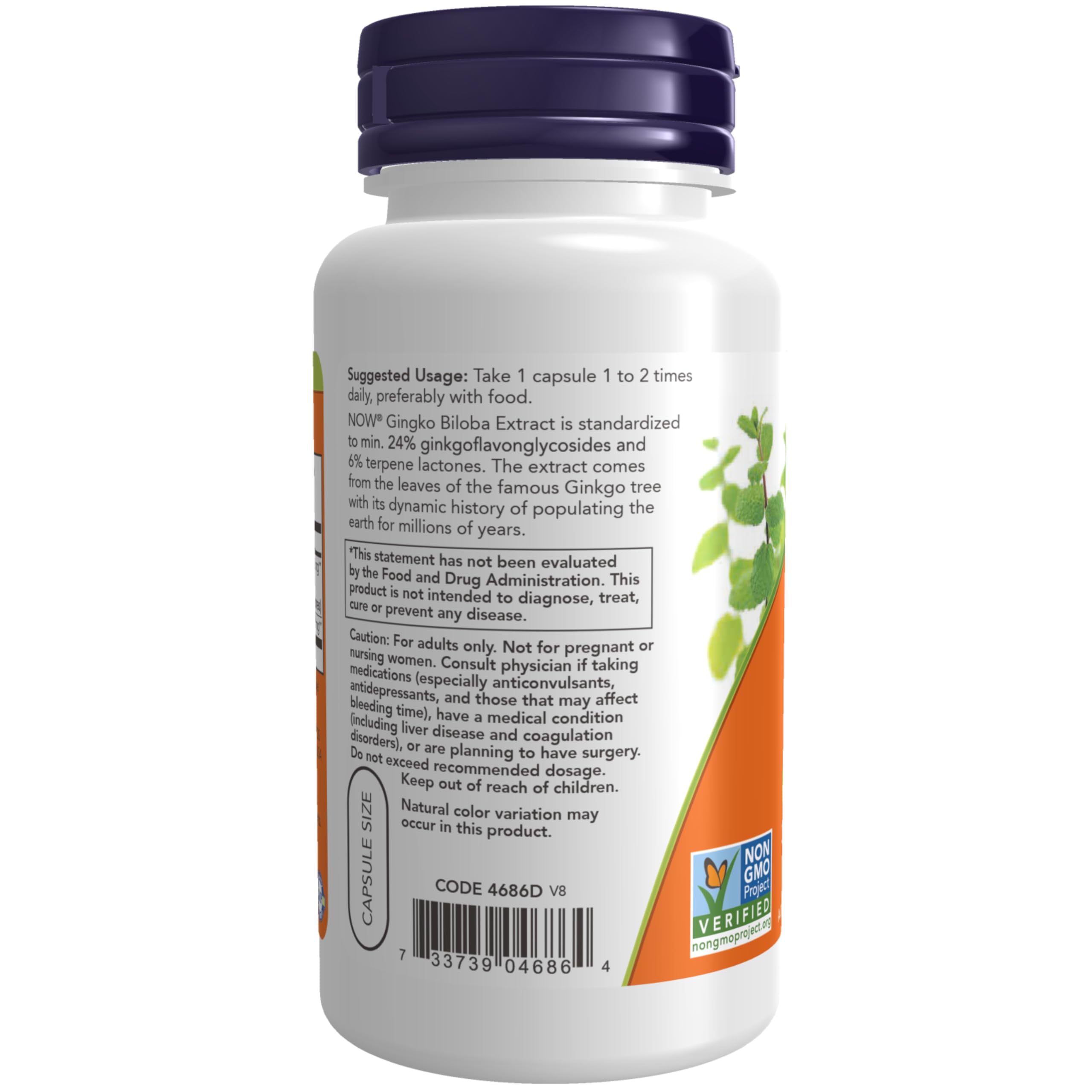 Foto 4 pulgar | Suplemento Now Foods Ginkgo Biloba 60 mg 24% de Extracto 60 Cápsulas - Venta Internacional