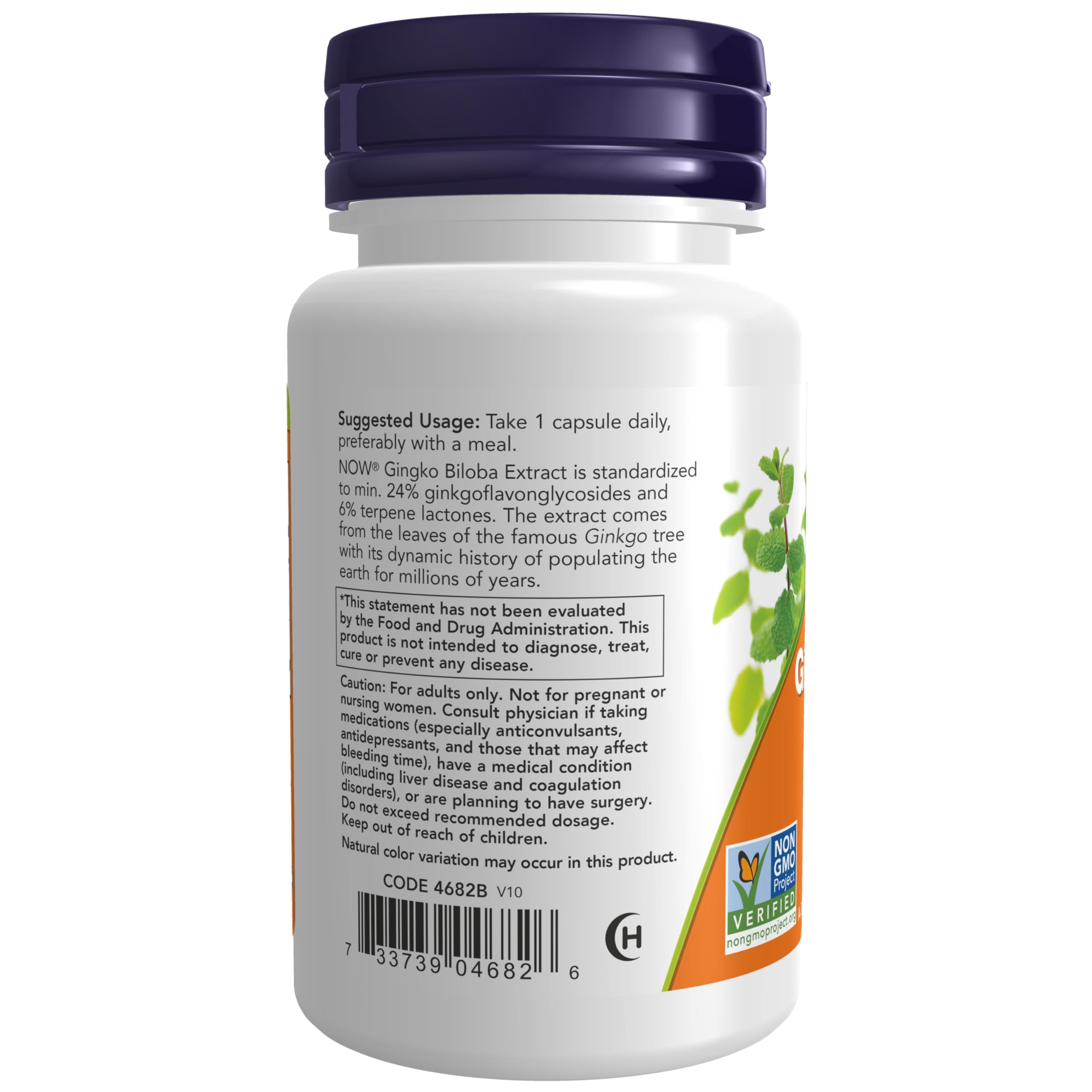 Foto 4 pulgar | Suplemento Now Foods Ginkgo Biloba 120 mg de Doble Concentración - Venta Internacional