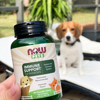 Foto 6 | Supplement Now Foods Pet Health Immune Support 90 Comprimidos - Venta Internacional.