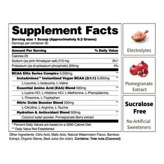 Foto 5 | Suplemento Snap Bcaa En Polvo Essential Amino Energy Sandía - Venta Internacional.