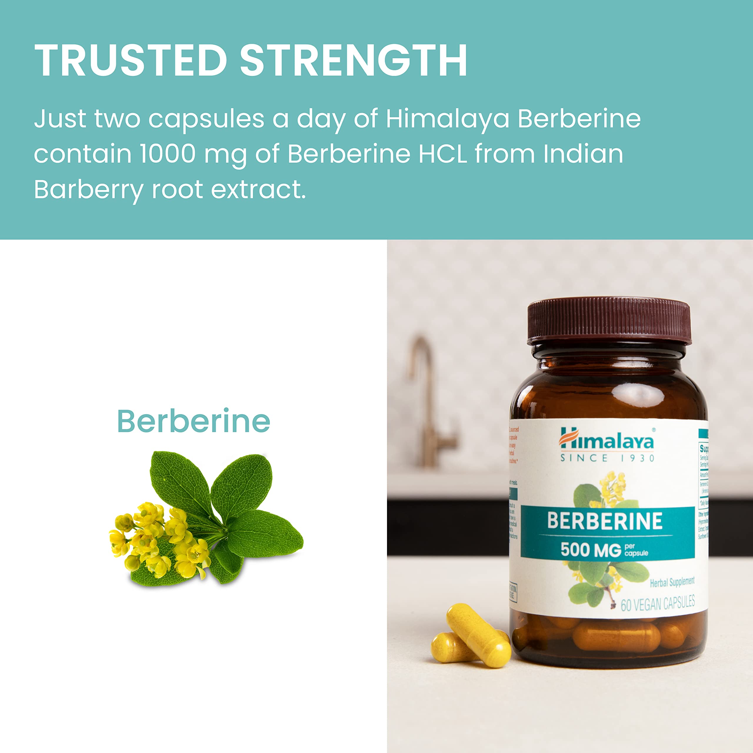 Foto 6 | Suplemento De Berberina Del Himalaya 1000 Mg 60 Cápsulas Vegano - Venta Internacional.