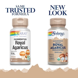 Foto 2 | Suplemento De Hongo Agaricus Real Fermentado Solaray, 500 Mg, 60 Cápsulas Vegetales - Venta Internacional.