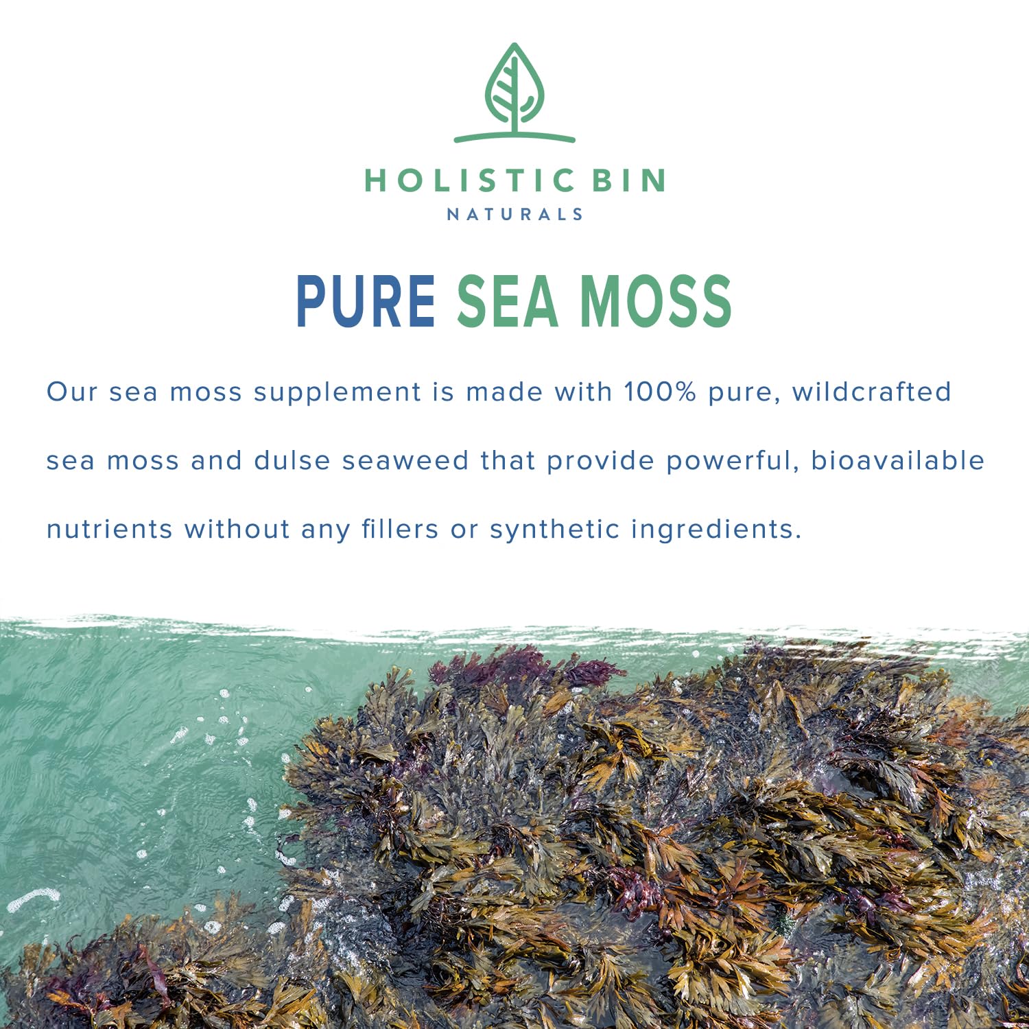 Foto 3 pulgar | Sea Moss Capsules Holistic Bin Organic 40 Cápsulas - Venta Internacional.