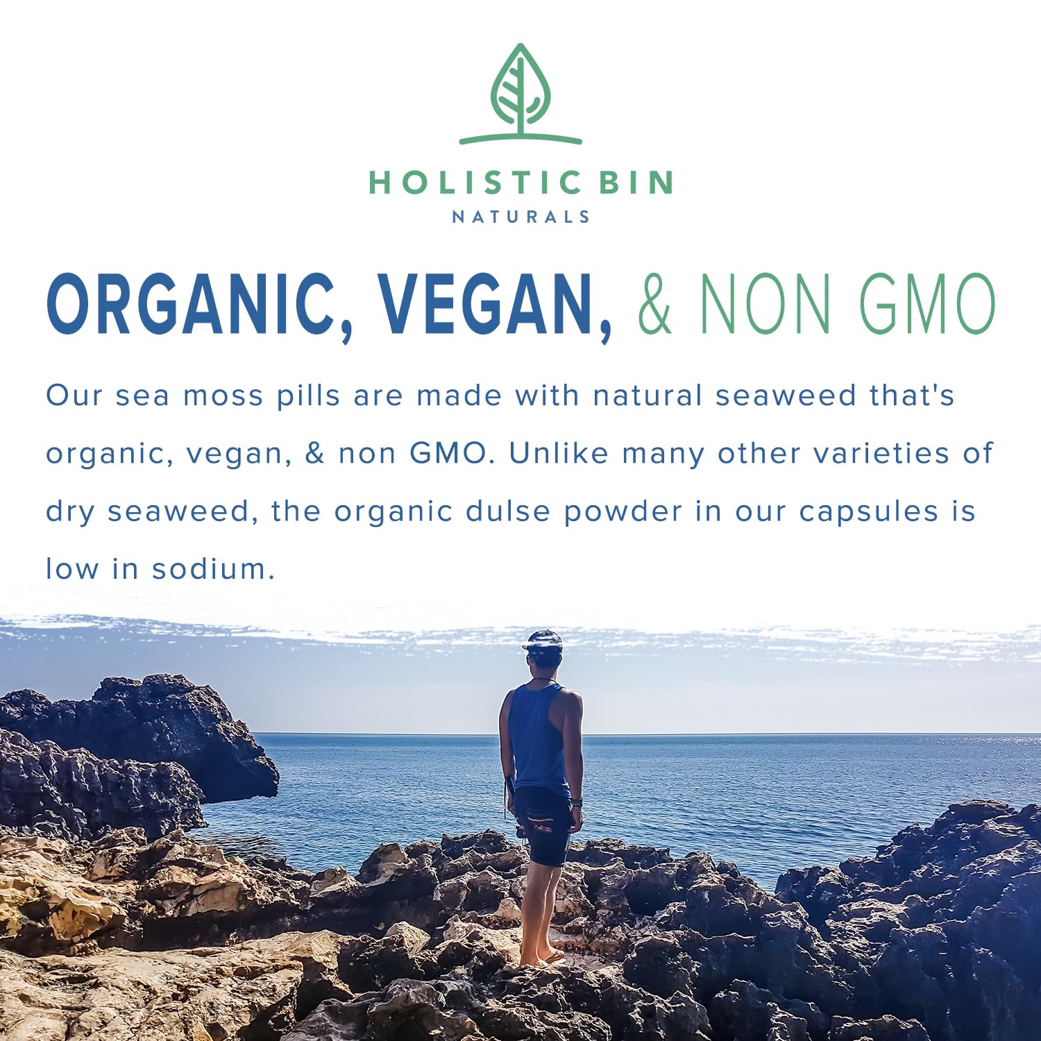 Foto 6 pulgar | Sea Moss Capsules Holistic Bin Organic 40 Cápsulas - Venta Internacional.