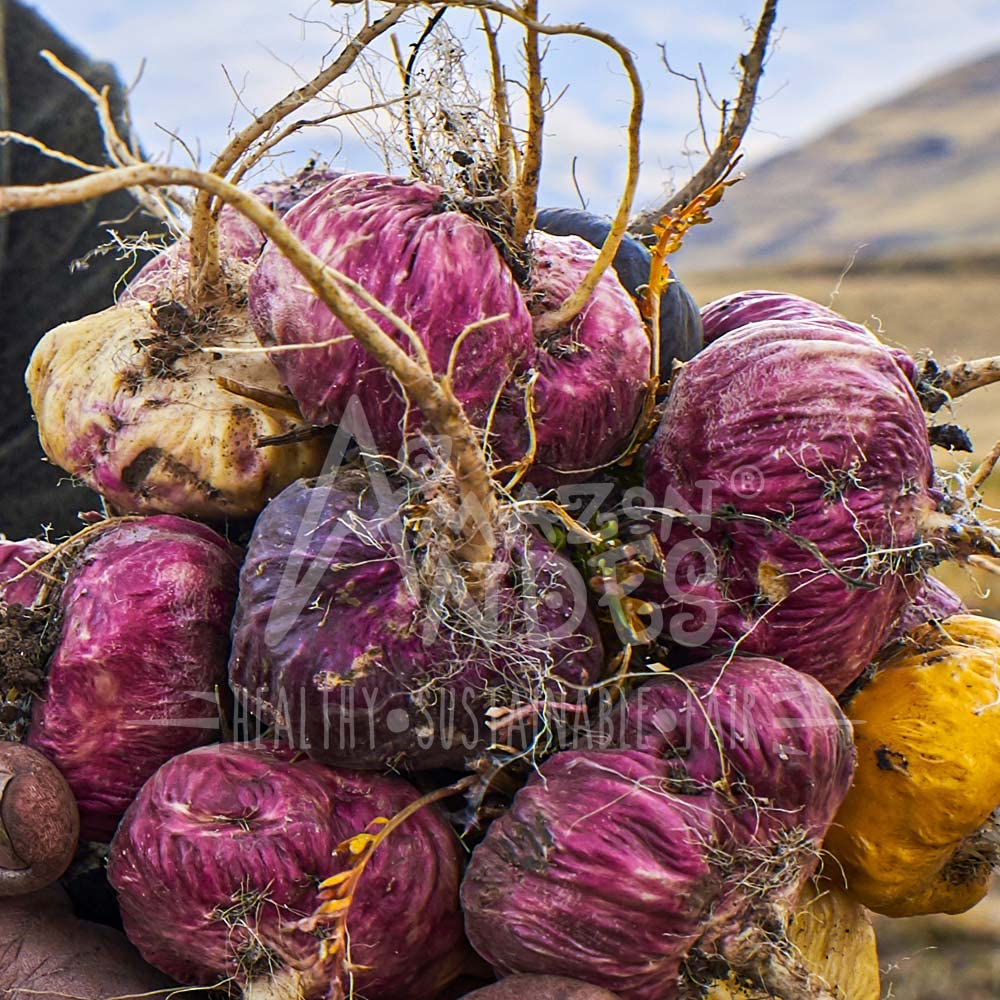 Foto 8 pulgar | Suplemento: Cápsulas De Raíz De Maca Roja De Amazon Andes, 1500 Mg - Venta Internacional.