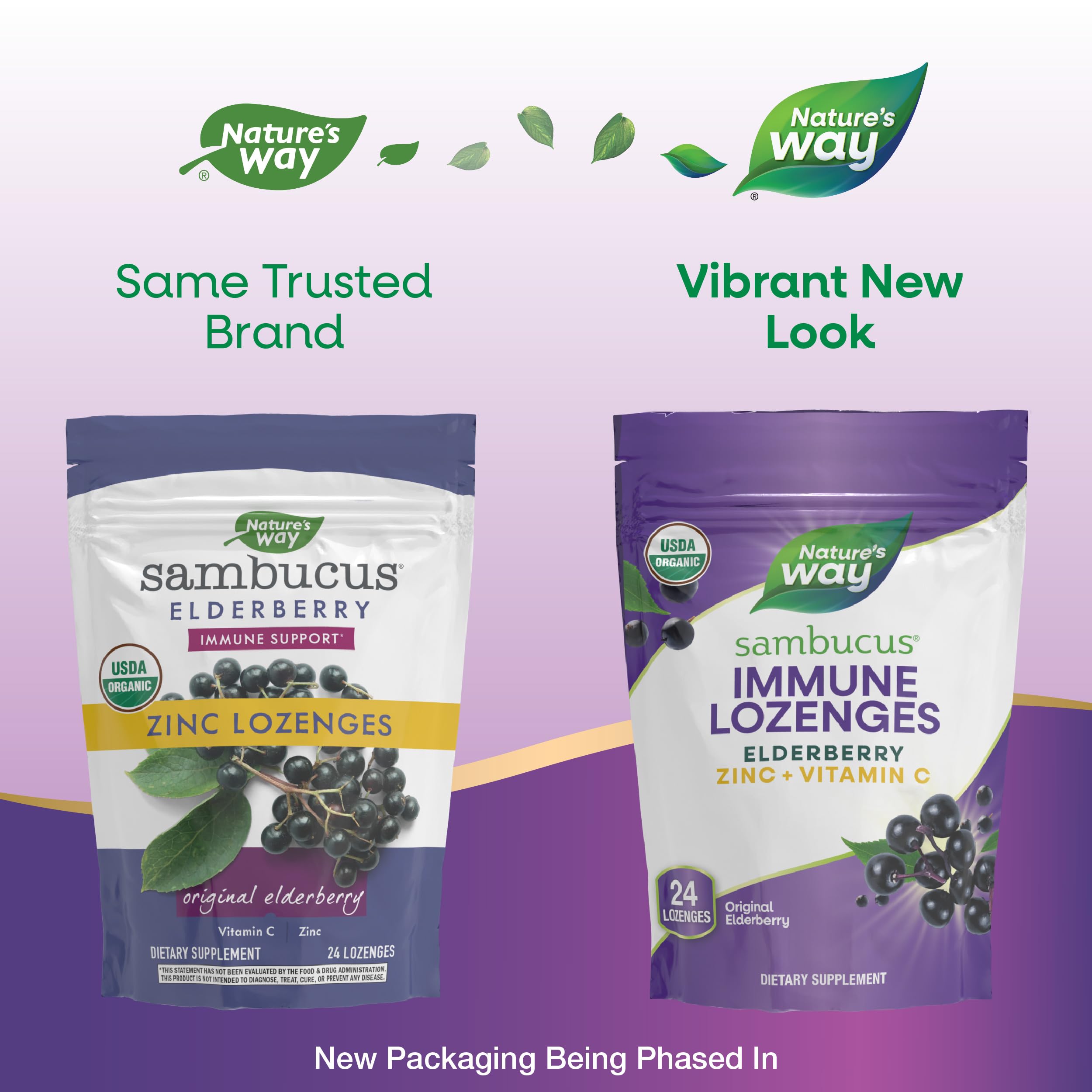 Foto 4 pulgar | Pastillas Nature's Way Sambucus De Zinc Orgánico Con Vitamina C, 24 G - Venta Internacional.