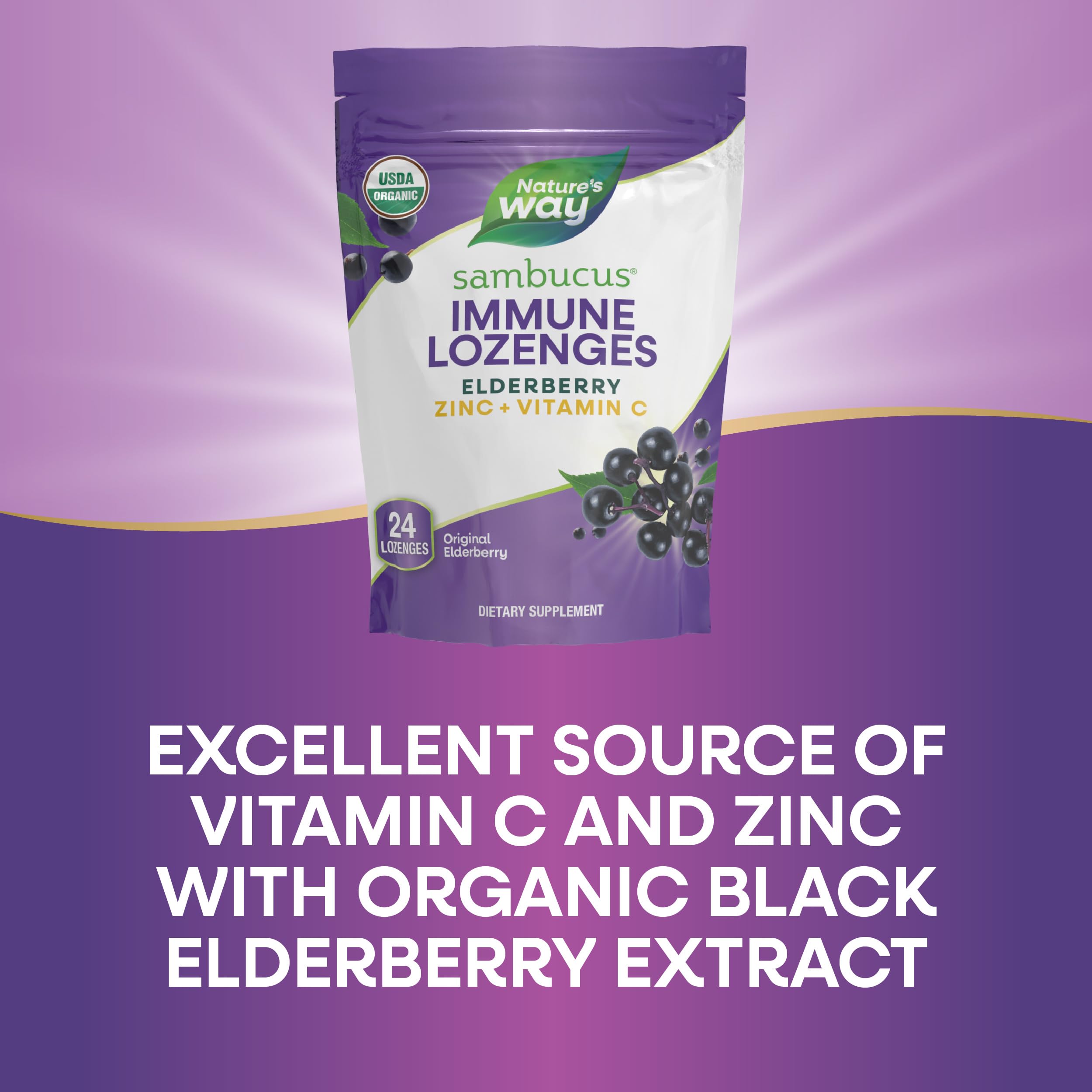 Foto 6 pulgar | Pastillas Nature's Way Sambucus De Zinc Orgánico Con Vitamina C, 24 G - Venta Internacional.