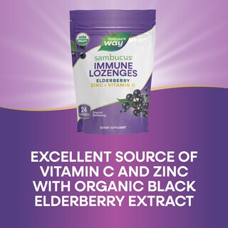 Foto 5 | Pastillas Nature's Way Sambucus De Zinc Orgánico Con Vitamina C, 24 G - Venta Internacional.