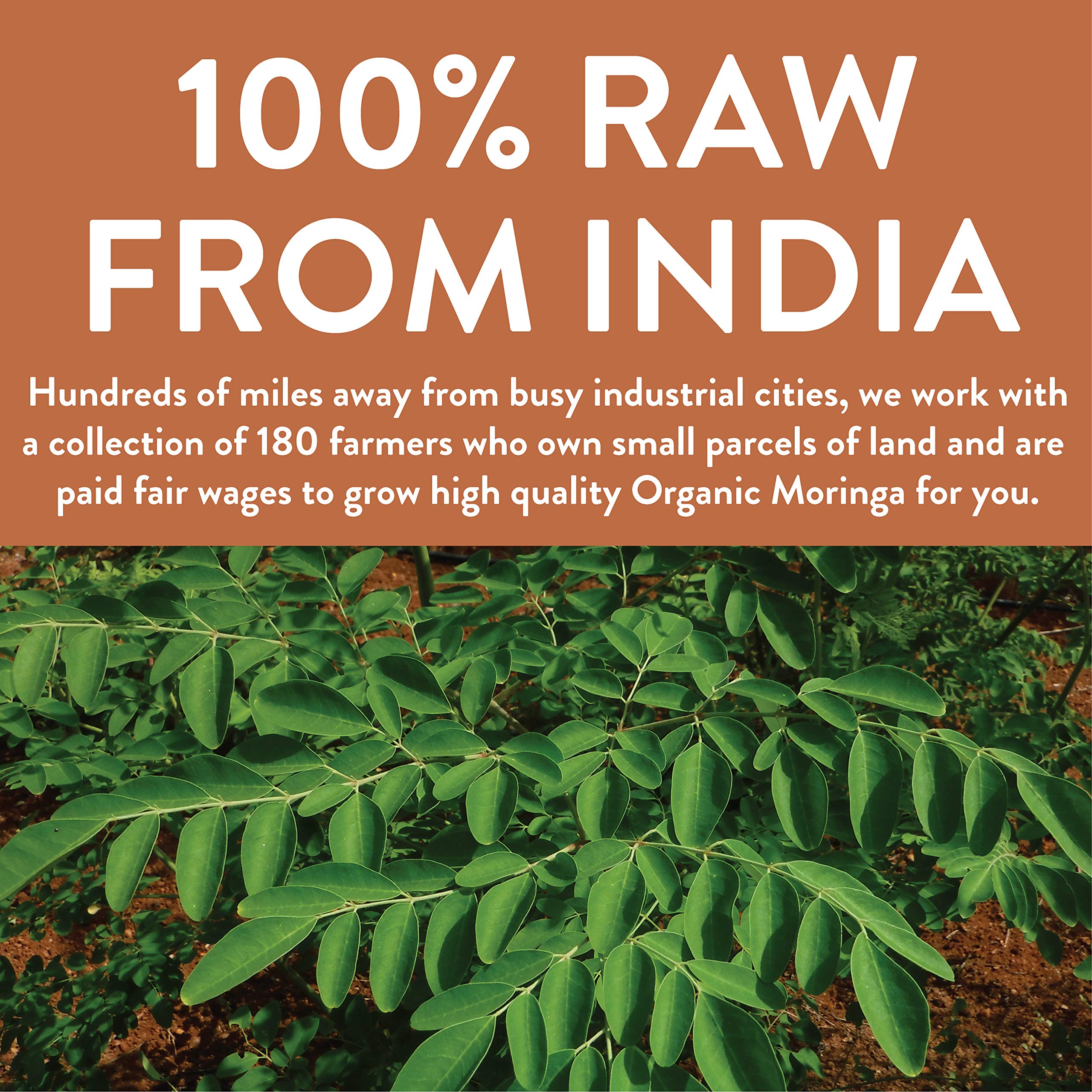Foto 5 | Polvo Orgánico De Hojas De Moringa Oleifera 453 G Fgo De La India - Venta Internacional.