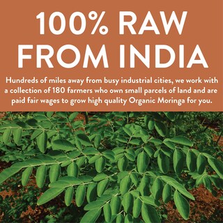 Foto 5 | Polvo Orgánico De Hojas De Moringa Oleifera 453 G Fgo De La India - Venta Internacional.