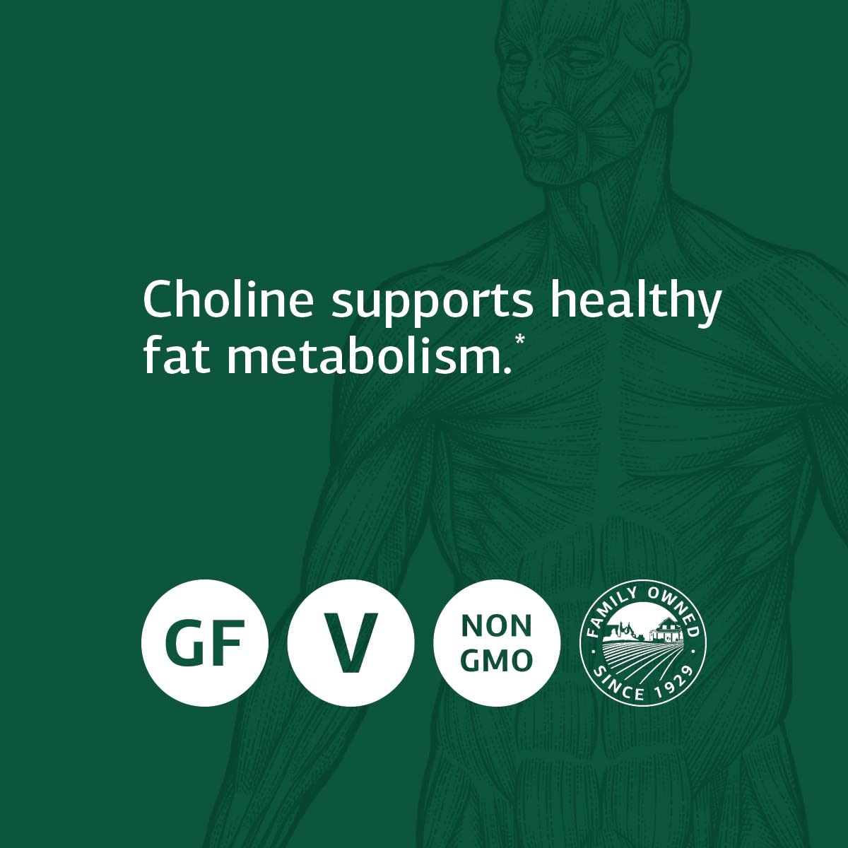 Foto 5 pulgar | Suplemento Standard Process Choline Liver Support 90 Comprimidos - Venta Internacional.