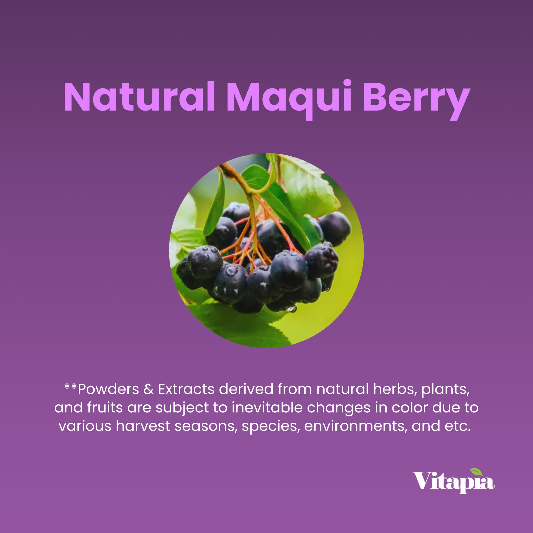 Foto 6 pulgar | Suplemento Vitapia Maqui Berry En Polvo 1000 Mg 120 Cápsulas - Venta Internacional.