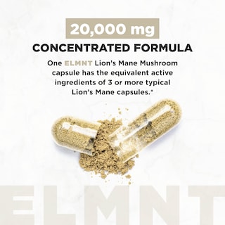 Foto 3 | Suplemento De Extracto De 20.000 Mg De Hongos Melena De León De Terra Elmont - Venta Internacional.