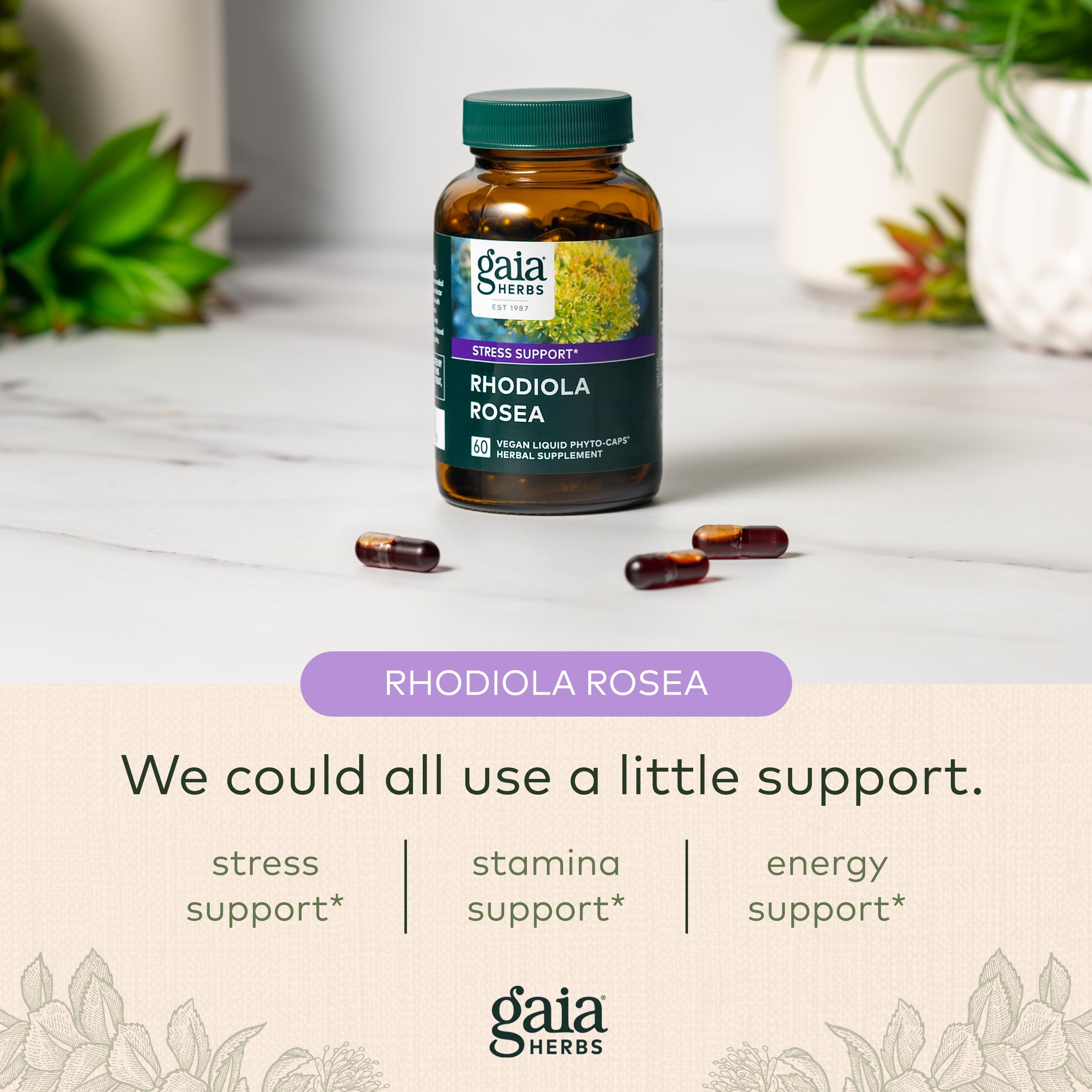 Foto 6 pulgar | Suplemento Gaia Herbs Rhodiola Rosea Stress Support 60 Cápsulas - Venta Internacional.