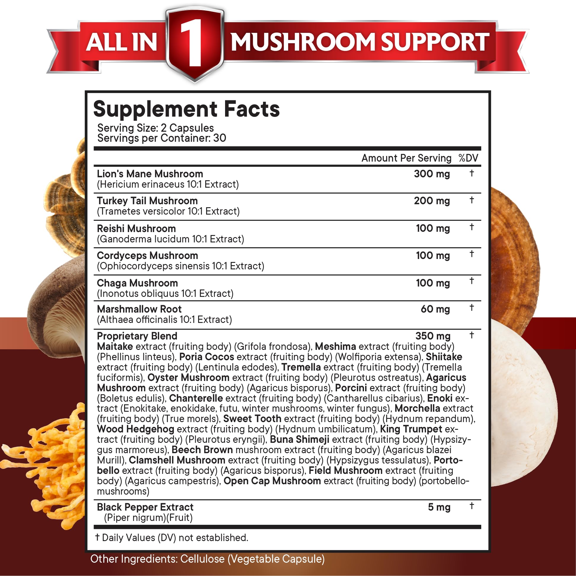 Foto 4 pulgar | Suplemento New Age Lions Mane 3000 Mg Con 2000 Mg De Cola De Pavo - Venta Internacional.