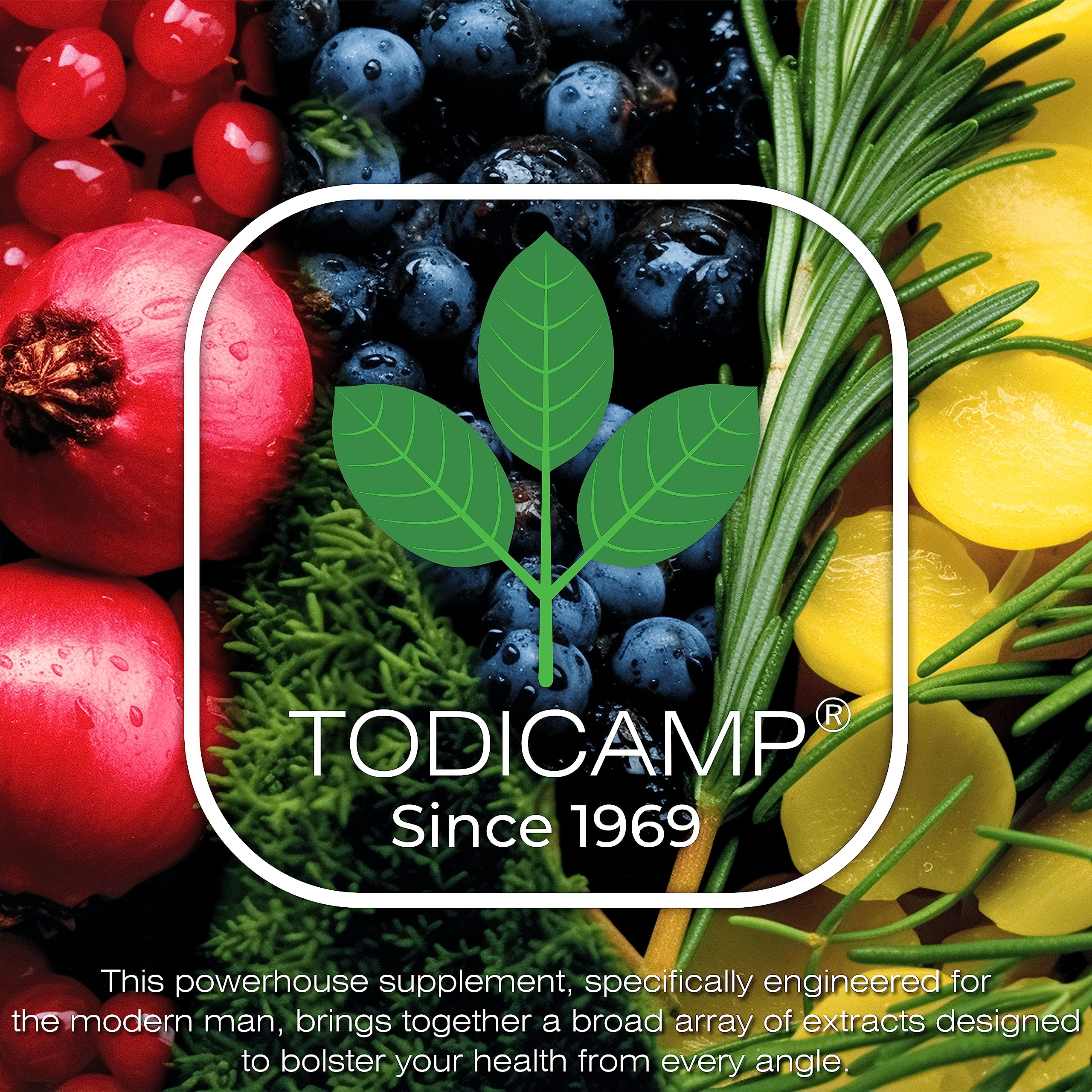 Foto 7 | Multivitamínico Todicamp Para Hombre Con Extractos De Plantas 60 Cápsulas - Venta Internacional.