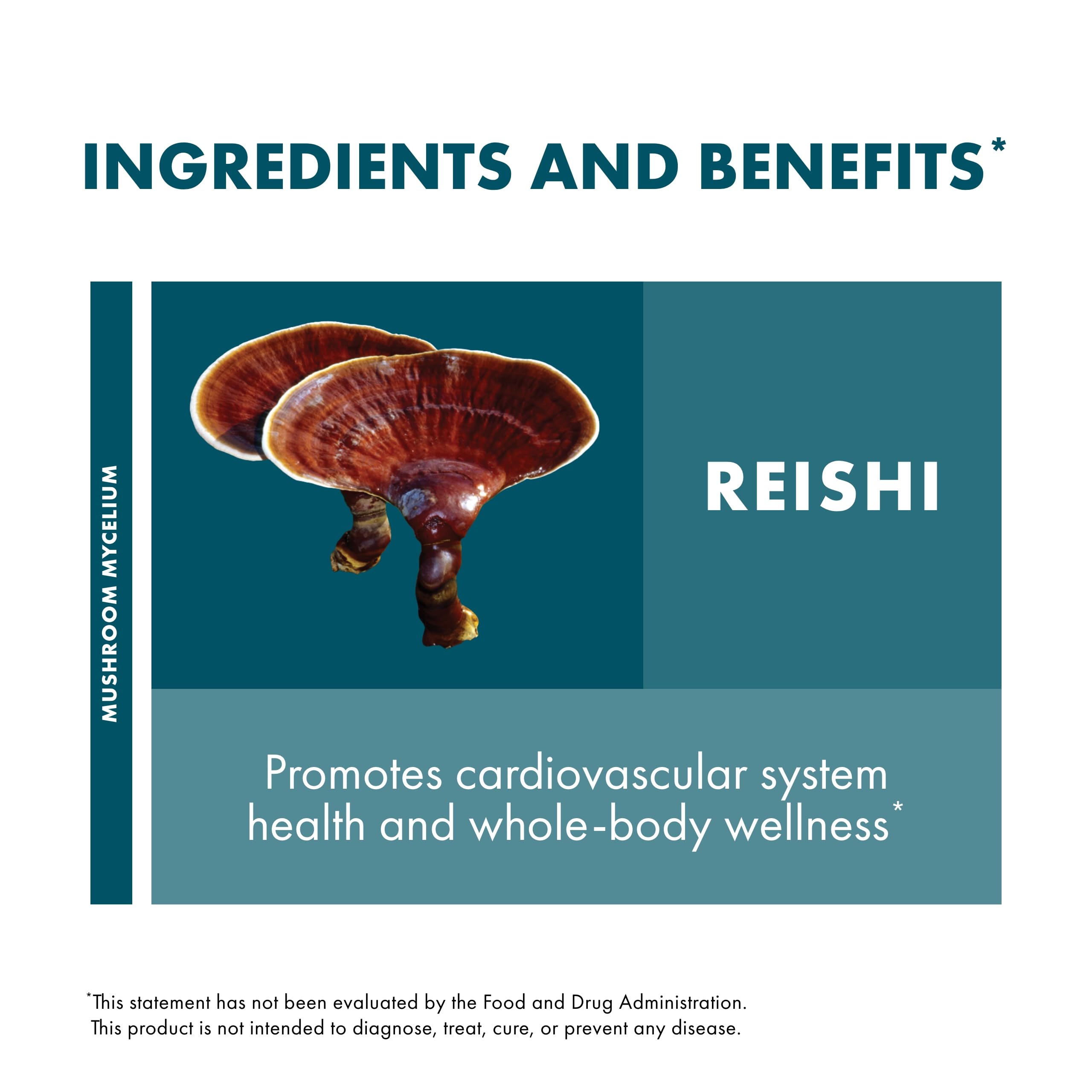 Foto 4 | Cápsulas de Reishi Supplement Host Defense 60 Cápsulas - Venta Internacional