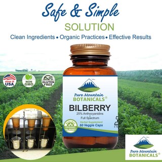 Foto 3 | Suplemento de Extracto de Arándano Pure Mountain Botanicals 250 Mg - Venta Internacional