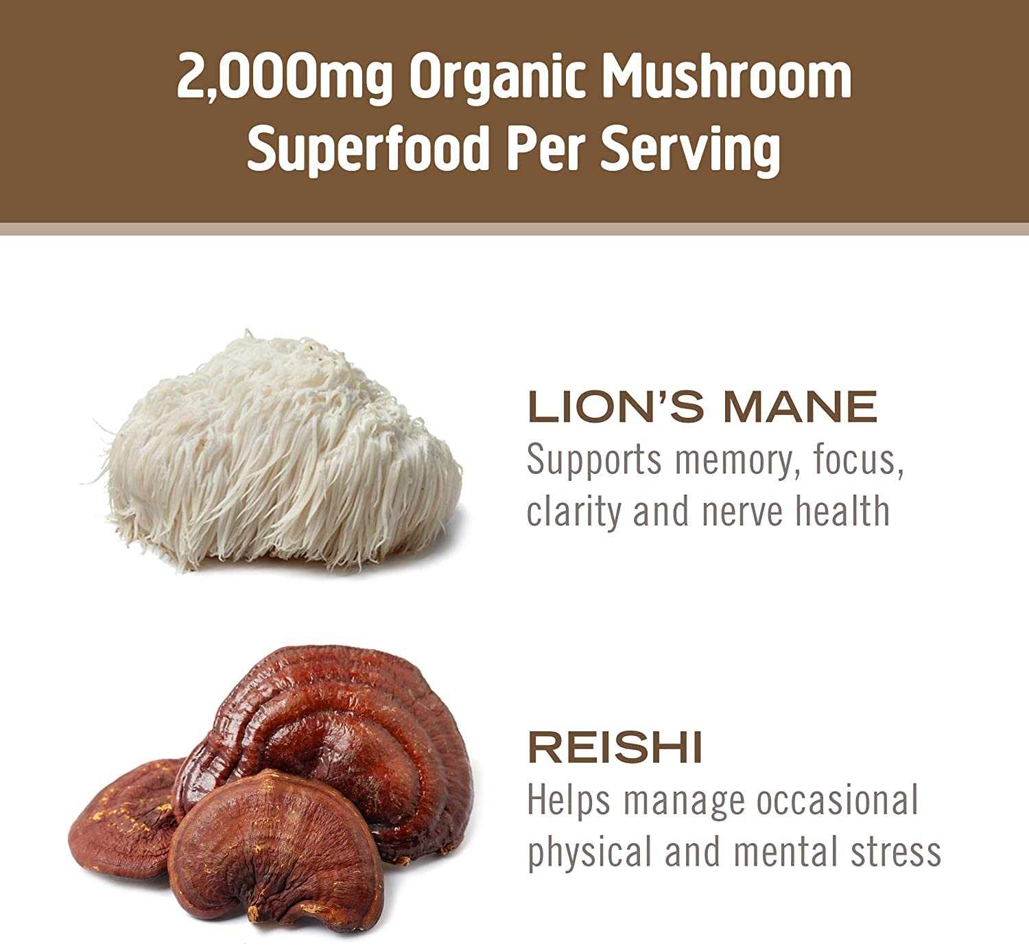 Foto 7 pulgar | Suplemento Om Mushroom Superfood Brain Fuel 90 Cápsulas - Venta Internacional