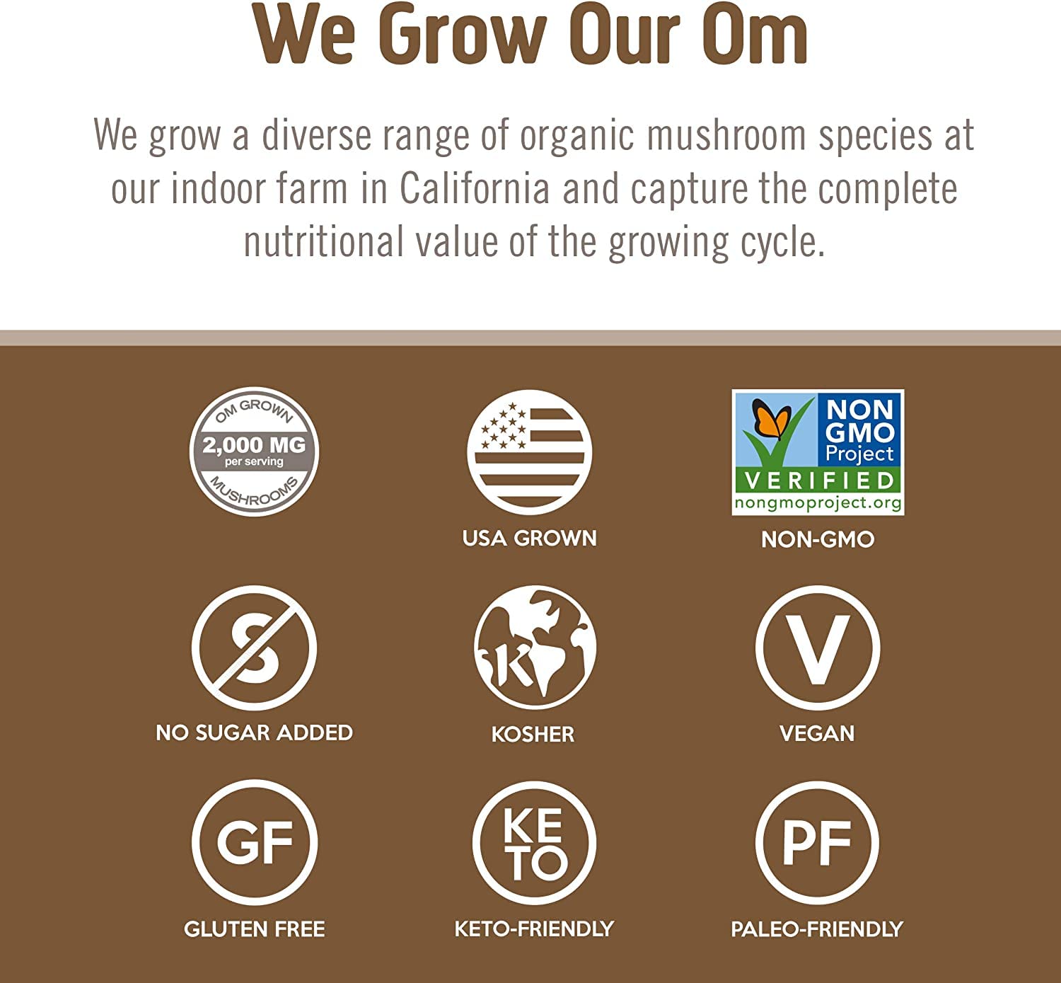 Foto 7 | Suplemento Om Mushroom Superfood Brain Fuel 90 Cápsulas - Venta Internacional