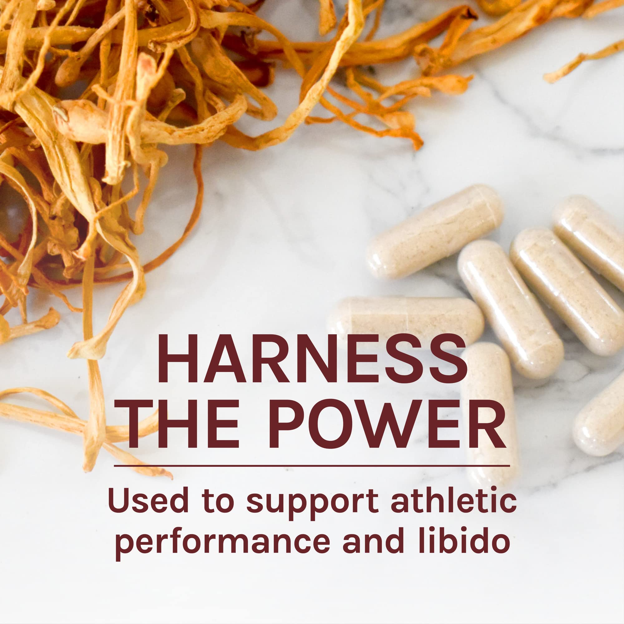 Foto 7 pulgar | Suplemento Host Defense Cordyceps Capsules 120 Unidades - Venta Internacional